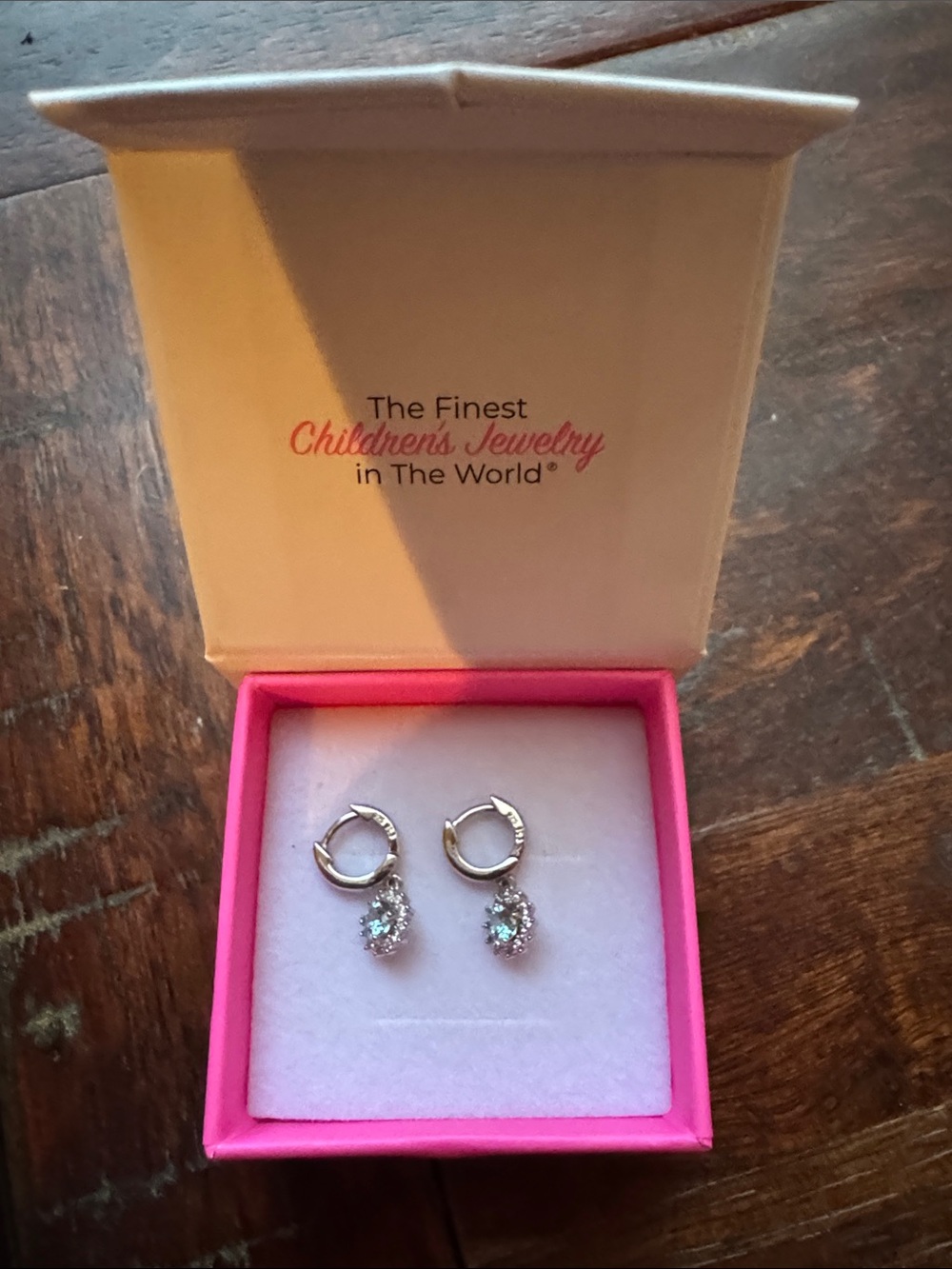 Youth Earrings-New in box